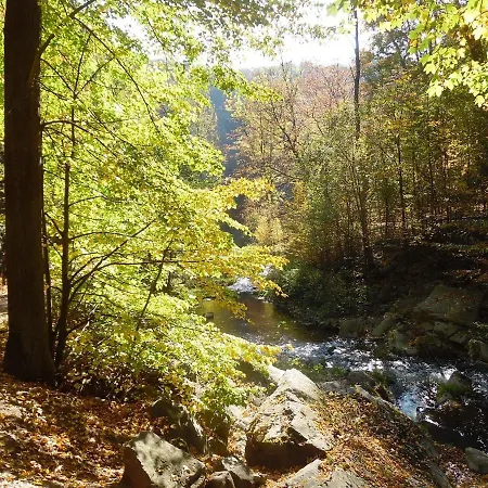 Haus Waldeck Appartement