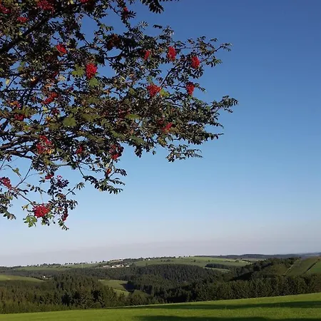 Appartement Haus Waldeck Neuhermsdorf