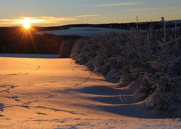 Haus Waldeck Neuhermsdorf