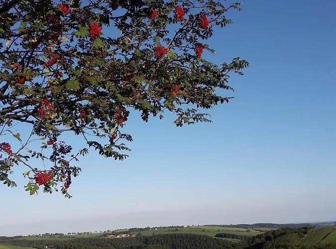 Apartment Haus Waldeck Neuhermsdorf